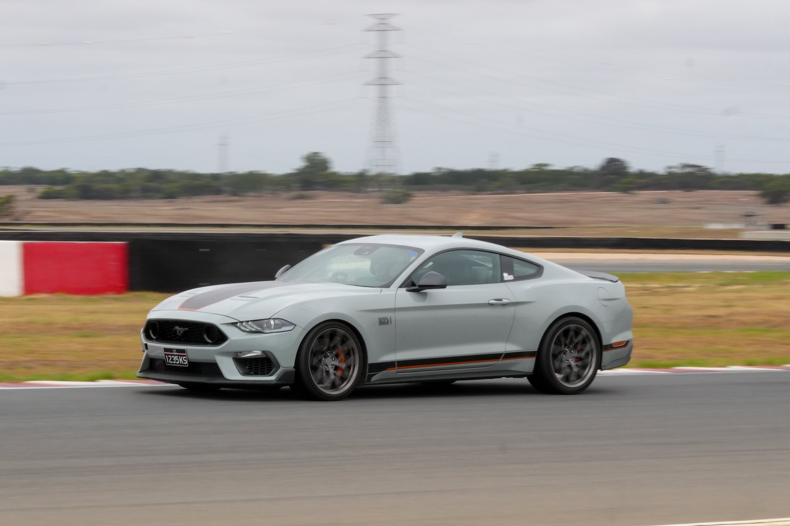 Grey Mach 1 Mustang